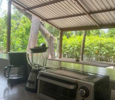 Peten Cabin | Selváticos Lodge El Remate ruta a Tikal
