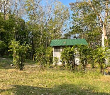 Peten Cabin | Selváticos Lodge El Remate ruta a Tikal