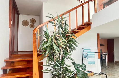 Benito Juarez House | Senda Stays Oasis Pool House - 4BR, Next to Roma Sur