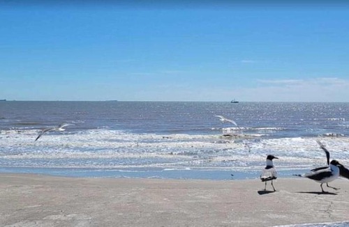 Galveston House | Shipwrecked Getaway For 6