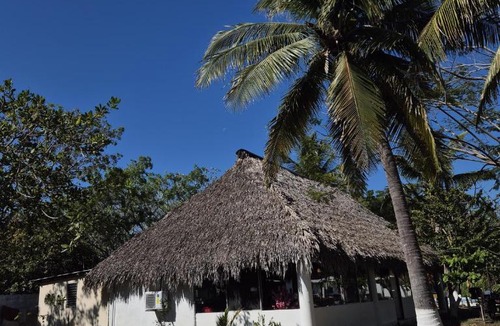 Monterrico Hotel | Solmar