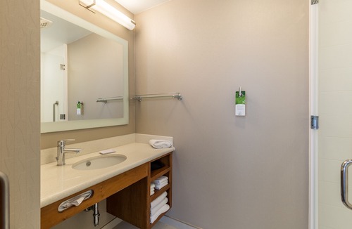 Rosenberg Hotel | SpringHill Suites by Marriott-Houston/Rosenberg