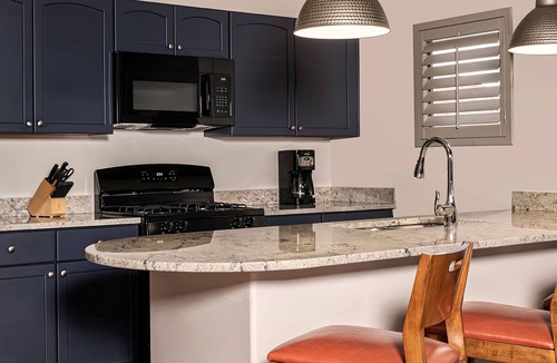 Starr Pass Condo | Starr Pass Spring Golf Retreat - April 12-15 - 1 Bedroom Condo