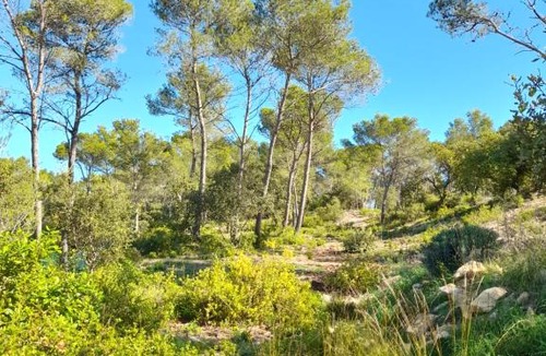 Langlade Apartment | Studio du Roc des Garrigues