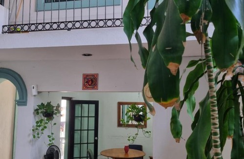 Centro Hotel | Suites Chingón