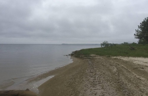 Anacoco RV Rental | Tentrr State Park Site - Louisiana South Toledo Bend State Park - Site E - Sing