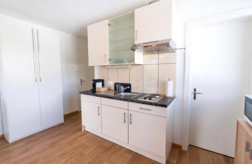 Einigen Apartment | Terrace Apartment Einigen