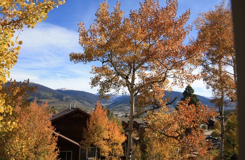 Wildernest House | The Bear's Den: Close to 6 ski resorts - Sleeps 8 - Silverthorne - STR21-00794