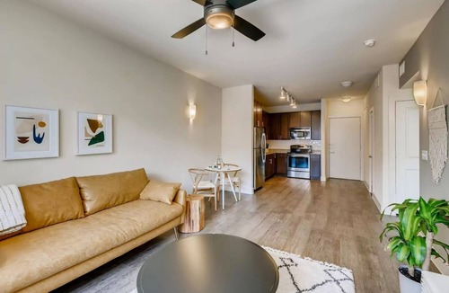 North Burnet Apartment | The Bindel l Domain l Amazing Location