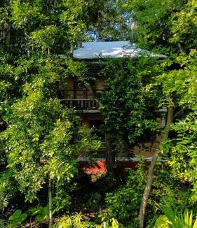 El Remate Cabin | The Cobb House - El Remate, Flores Petén