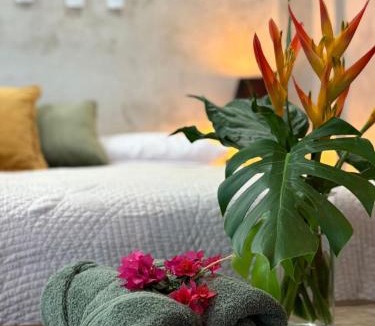 Pasajcap Apartment | The Hidden Garden Apartments