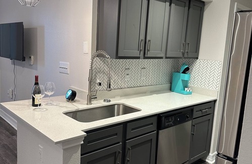 Braeswood Place Apartment | theme Paris Apartment /Midtown great Location !/Minutes from NRG Stadium/