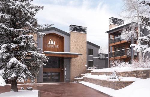 Snowmass Village House | Timberline Condominiums 2 Bedroom Standard Unit C2H