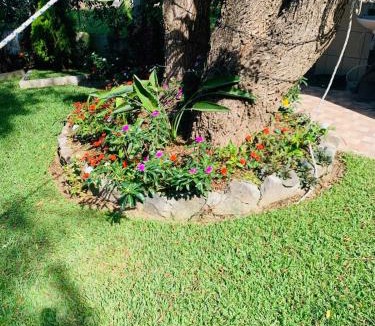 San Lucas Toliman Apartment | Tolimán Pequeña Bahía de SamJose - Apartamento