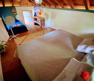 Troncones Hostel | Troncones Point Hostel
