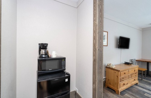 Telluride Hotel | Updated Pet-Friendly Hotel Room With King Bed on the River