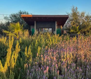 Valle de Guadalupe Hotel | Valle Soléa