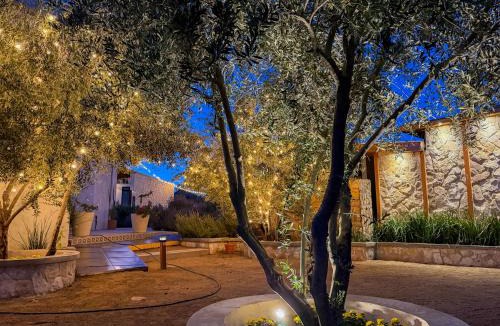 Valle de Guadalupe Hotel | Valle Soléa