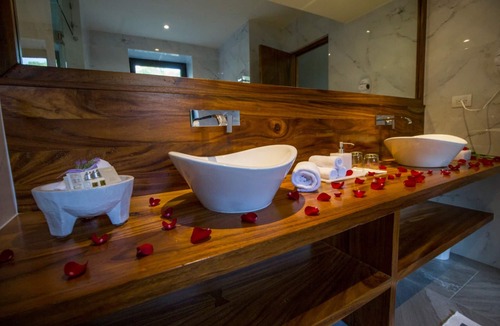 San Miguel de Allende Hotel | Viñedos San Francisco