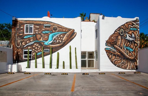 Esterito Apartment | Villa Esterito - La Paz Baja California Sur
