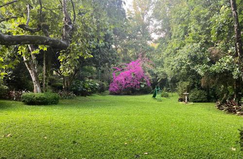 Xicotepec House | Villa Niebla Luxury Country Villa