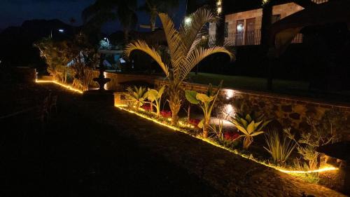 Tepoztlan Hotel | Wellness Pet Friendly El Secreto