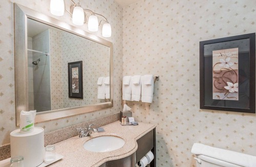 New Braunfels Hotel | Wingate by Wyndham New Braunfels