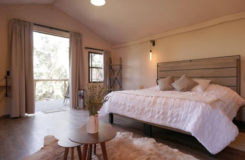 Tlalpan Hotel | Woodscape