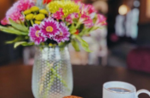 Downtown Asheville Hotel | Zelda Dearest