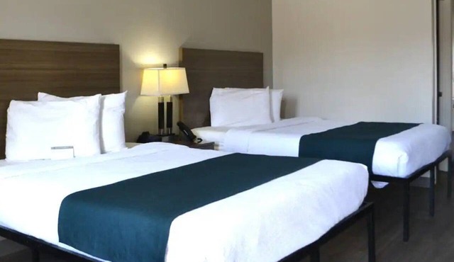 2 Accommodations 1.3 Mi from Reflection Riding Arboretum | Pets Allowed in Chattanooga