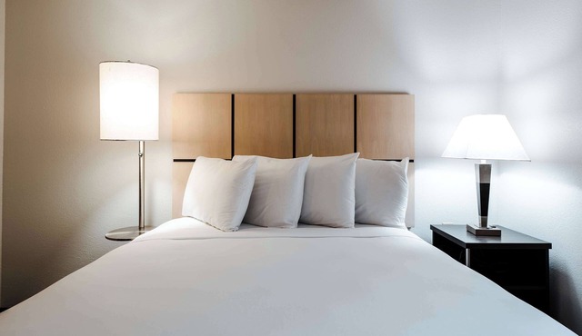 4 Modern Units | Free Parking | Pet Friendly | Near Museum