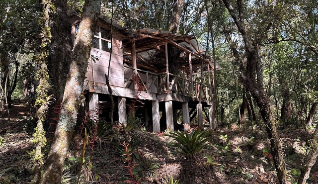 6 cabins located in Solola, with more than 100 hectares of green area for hiking