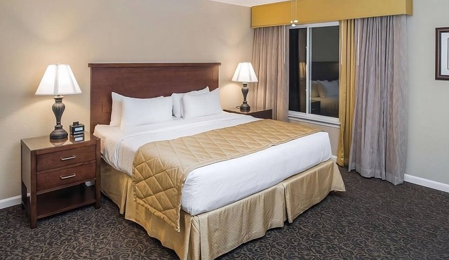 Always a Great Idea To Unwind! 2 Amazing Suites w/Kitchen and Living Room in Williamsburg