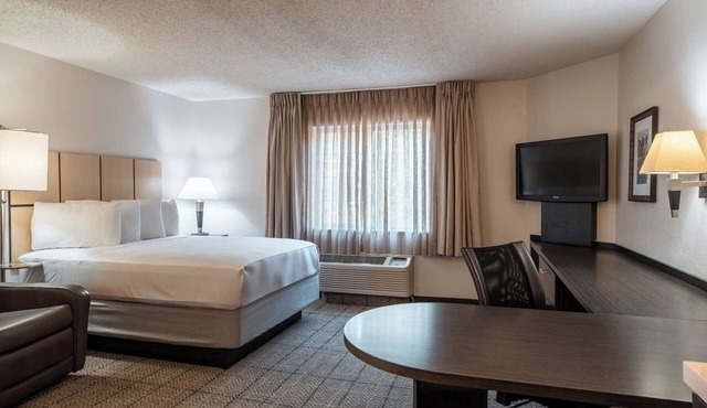 Best Place to Stay in Richardson! Free Parking, Pets Allowed