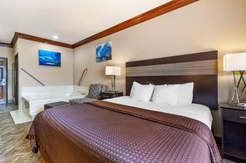 Best Western Fort Worth Inn & Suites