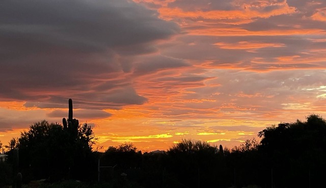 Breathtaking sunsets on a safe beautiful acre newly renovated.
