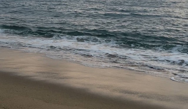 Bungalow on private beach 3