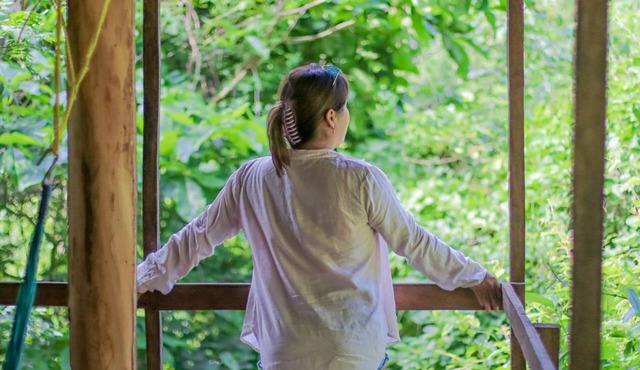 Cabaña Ceiba - Su Conexión con la Naturaleza