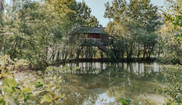 cabanes perchees dans les arbres in Capdrot