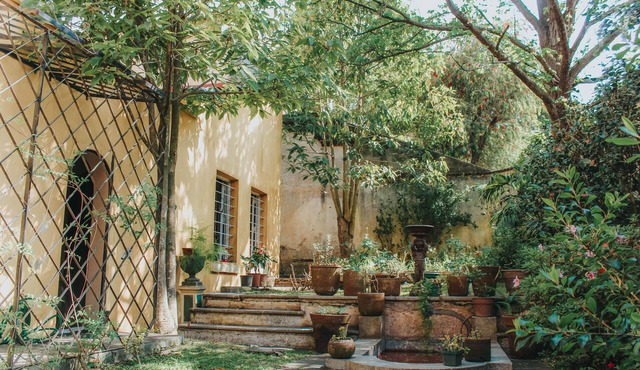 Casa Carmel Bed and Breakfast
