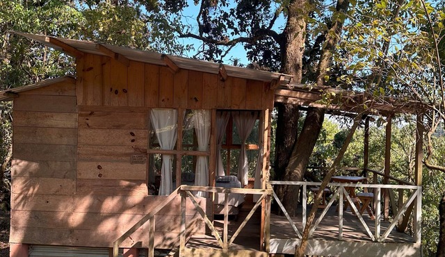 Casa de los árboles