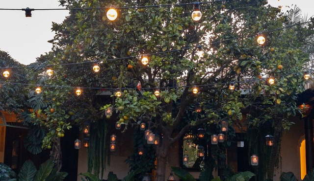 Casa Noble Hotel