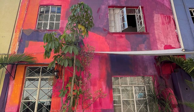 Casa Vecindad Murales - Secret Mural Home in Coyoacán