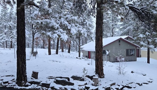 Charming 1-bedroom cottage perfect for a relaxing Durango getaway