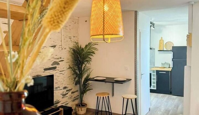 Charming Bright Duplex in Angers