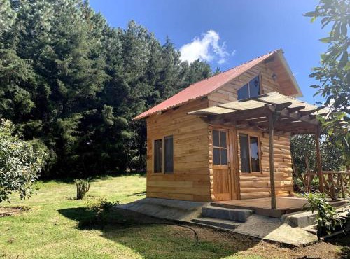 Charming cabin surrounded by nature