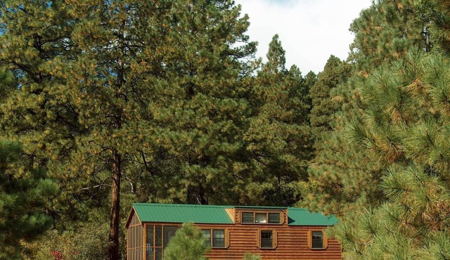 Comfortable Cabin in a quiet rural setting