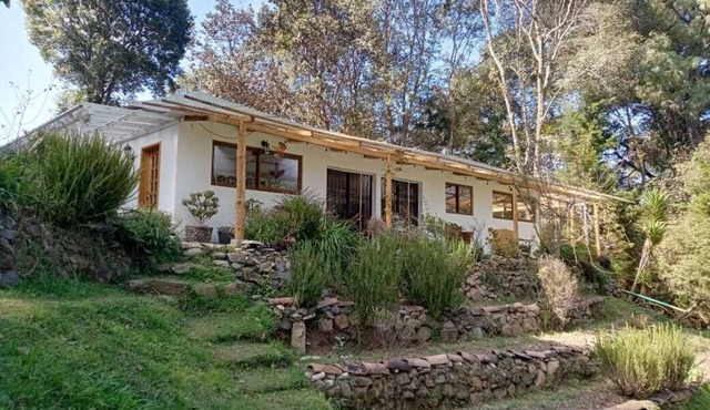 Comfortable Cottage for Groups on 2 acre Homestead