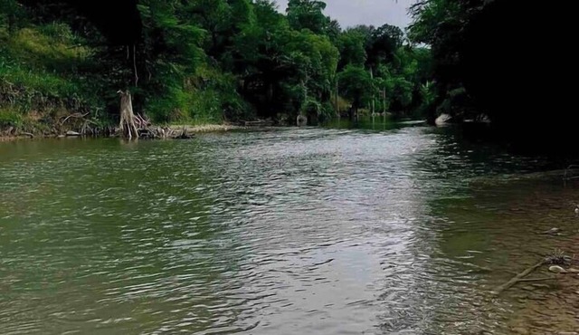 Cool Off in Your Own Piece of The Guadalupe!