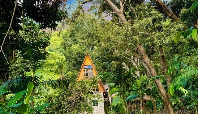 Cottage by the Lake- wifi/breakfast/washing machine